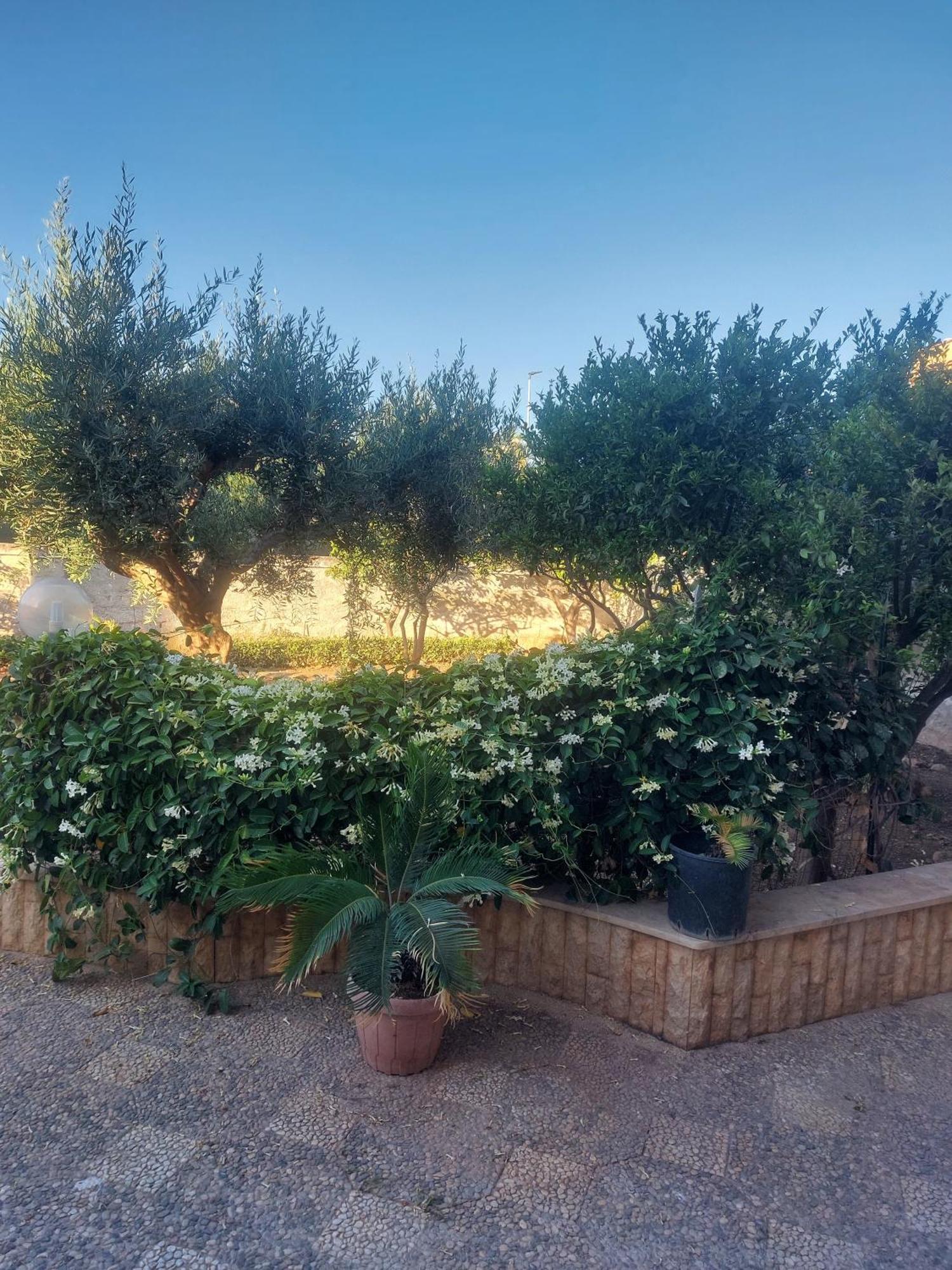Alcantara Suites Trapani Dış mekan fotoğraf
